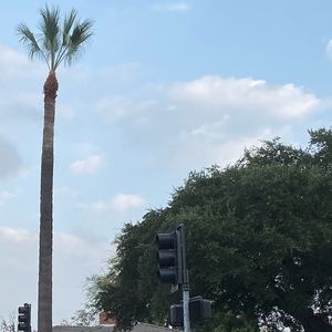 Meet your Posher, Queenie